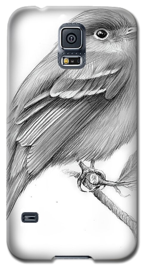 Least Flycatcher Galaxy S5 Case featuring the drawing Least Flycatcher by Greg Joens