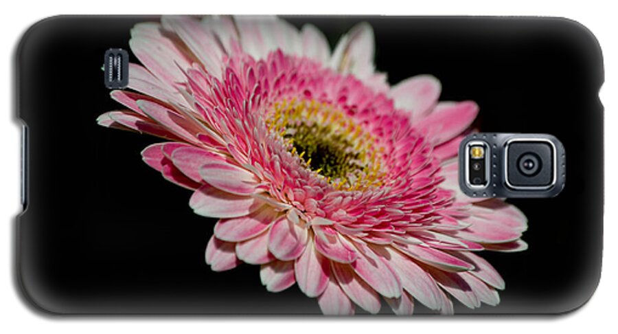 Gerber Galaxy S5 Case featuring the photograph Left In The Dark by Trish Tritz