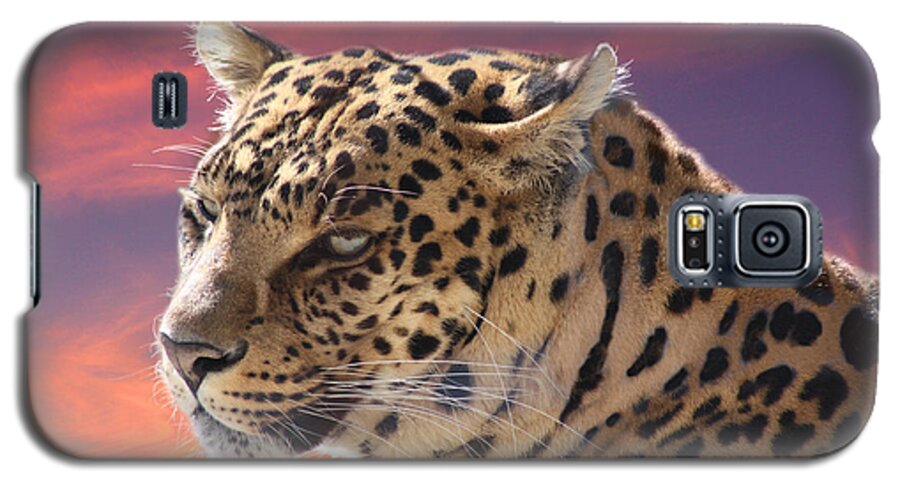 Leopard Galaxy S5 Case featuring the photograph Leopard Portrait by Michele A Loftus