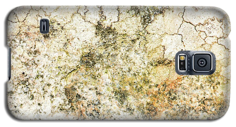 Background Galaxy S5 Case featuring the photograph Lichen on a stone, background by Torbjorn Swenelius