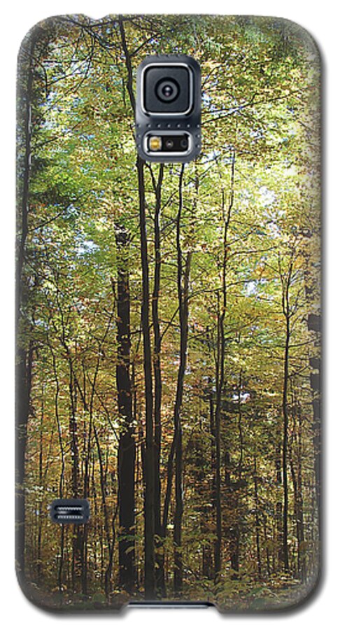 Forest Galaxy S5 Case featuring the photograph Light Among the Trees Vertical by Felipe Adan Lerma