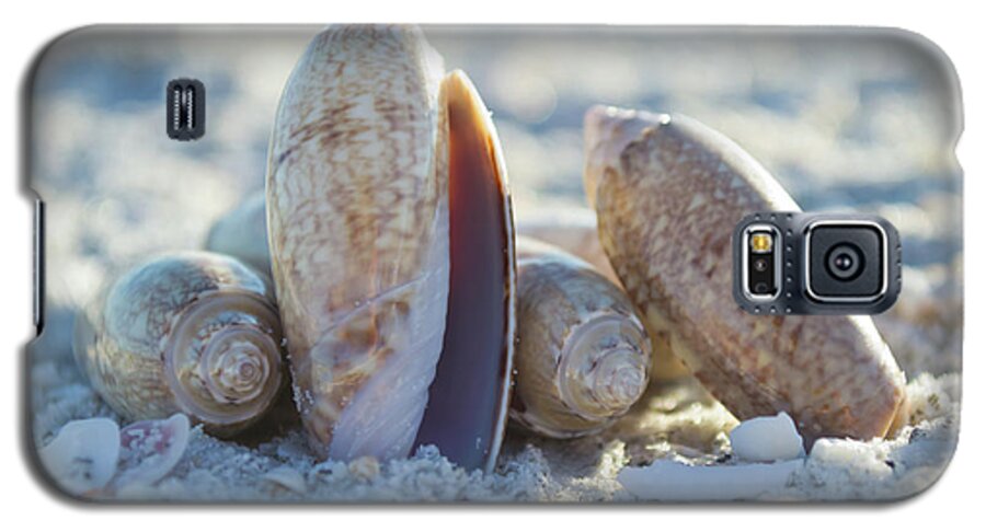 Sanibel Galaxy S5 Case featuring the photograph Light. Nature. Passion. by Melanie Moraga
