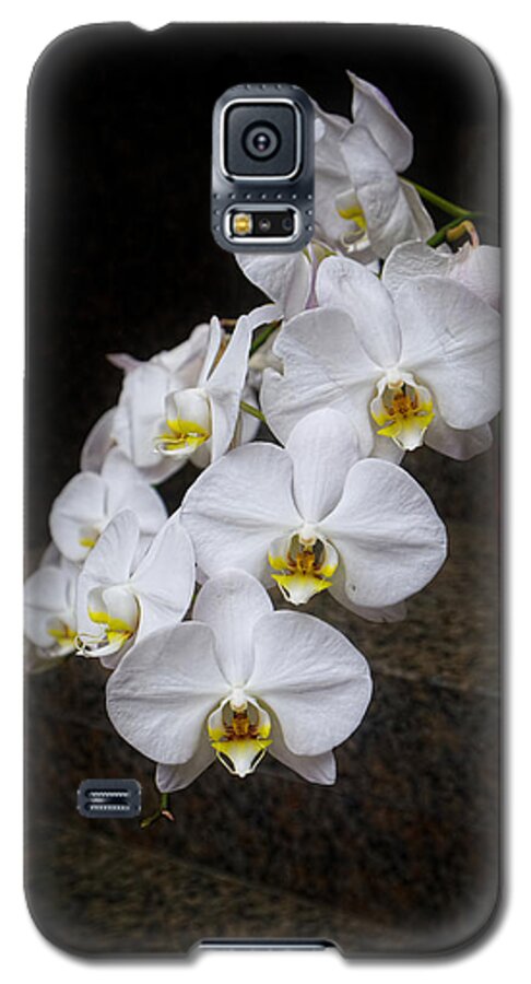 Steps Galaxy S5 Case featuring the photograph Like A Dove by Lucinda Walter