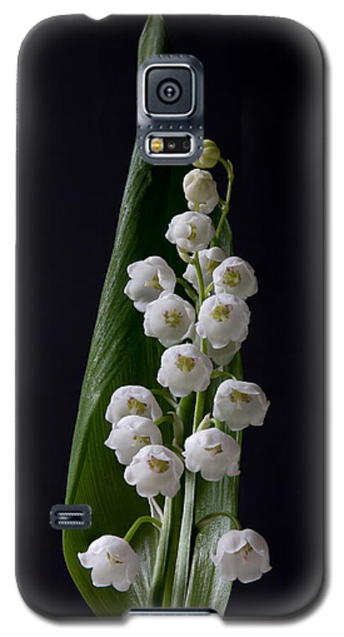 Flower Galaxy S5 Case featuring the photograph Lily of the Valley on Black by Patti Deters