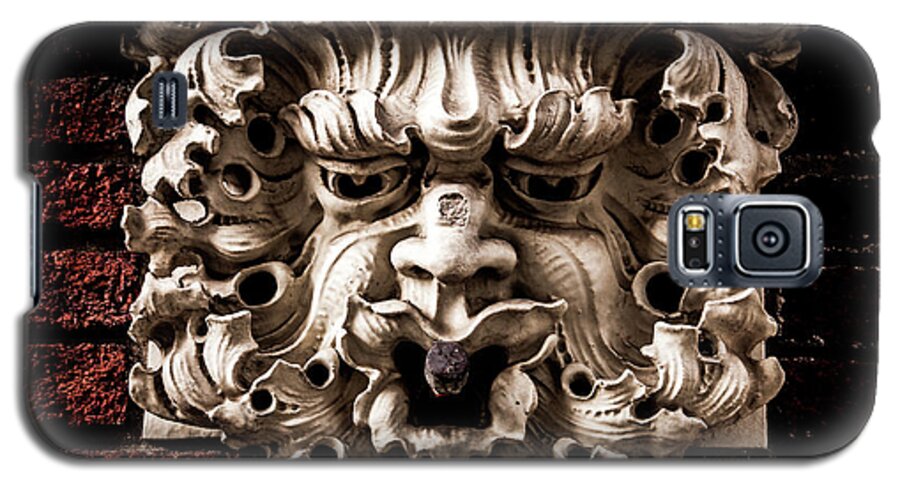 Atlanta Galaxy S5 Case featuring the photograph Lion Head by Kenny Thomas