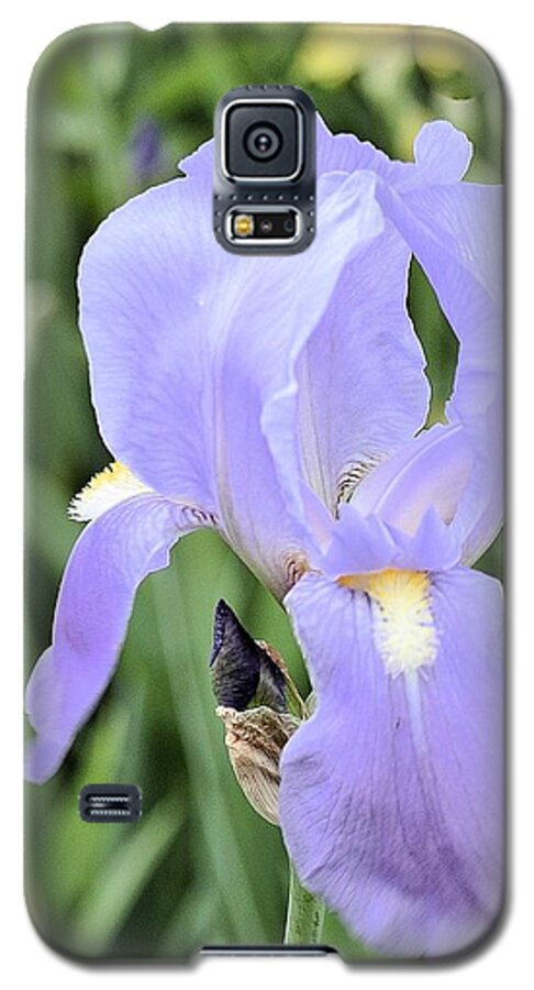 Photo Galaxy S5 Case featuring the photograph Lissy Iris by Marsha Heiken