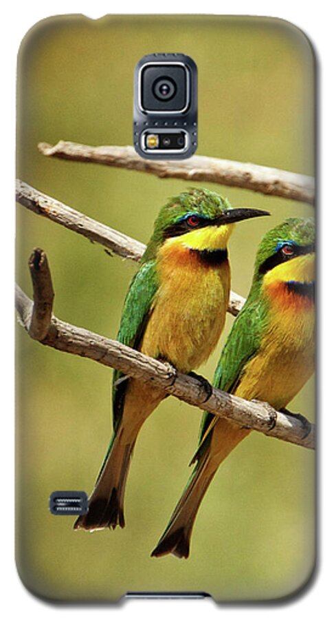 Africa Galaxy S5 Case featuring the photograph Little Bee Eater pair by Steven Upton