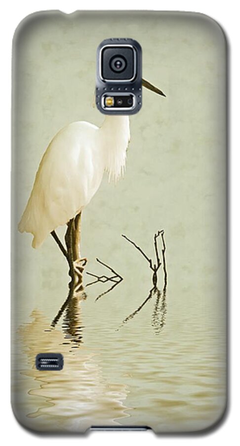 Egret Galaxy S5 Case featuring the photograph Little Egret by Sharon Lisa Clarke