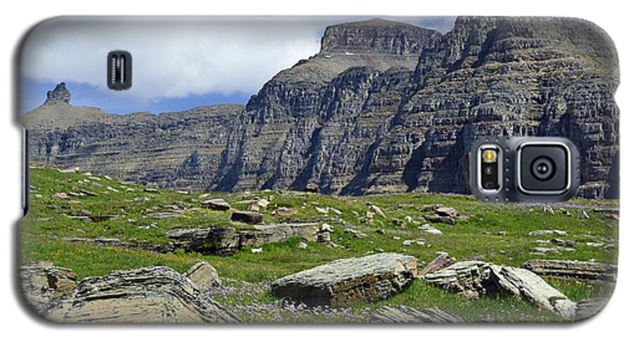 Glacier Galaxy S5 Case featuring the photograph Logan Pass Meadow and Mountains in Glacier National Park by Bruce Gourley
