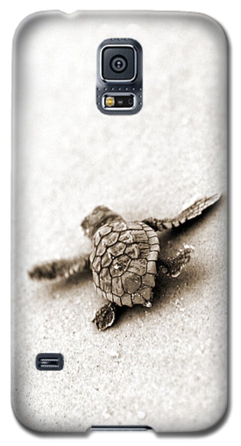 Loggerhead Turtle! Hilton Head Island Galaxy S5 Case featuring the photograph Loggerhead by Michael Stothard