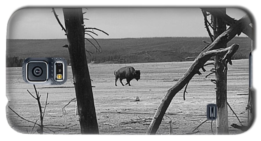 Animals Galaxy S5 Case featuring the photograph Lone Bison by Steven Myers