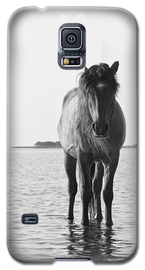 Wild Galaxy S5 Case featuring the photograph Lone Stallion by Bob Decker