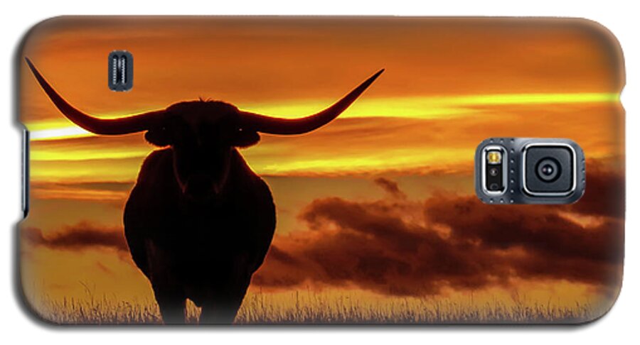 Colorado Galaxy S5 Case featuring the photograph Longhorn at Sunset by Dawn Key