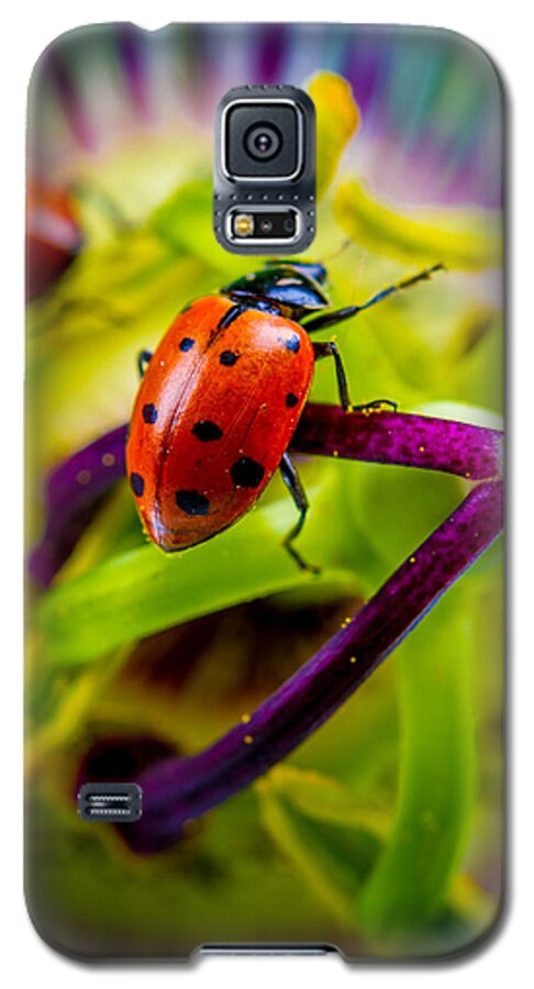 Ladybugs Galaxy S5 Case featuring the photograph Look at the colors over there. by TC Morgan