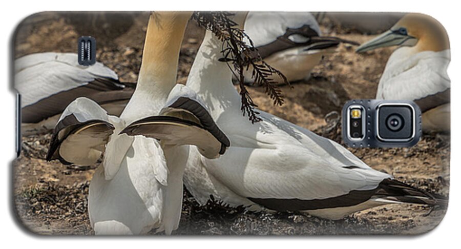 Bird Galaxy S5 Case featuring the photograph Look What I've Brought For You by Werner Padarin