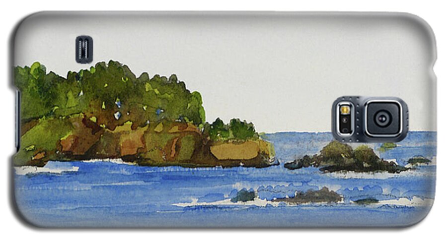 Seascape Galaxy S5 Case featuring the painting Lookout by Karen Coggeshall