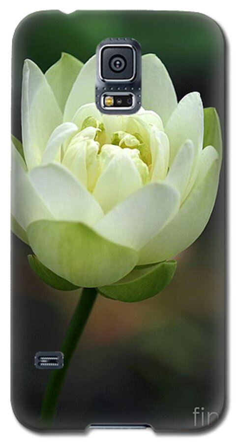 Lotus Galaxy S5 Case featuring the photograph Lotus Blooming by Sabrina L Ryan