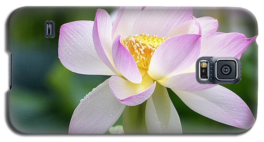 Lotus Galaxy S5 Case featuring the photograph Lotus by Edward Kreis