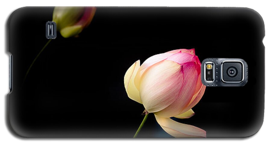 Balboa Park Galaxy S5 Case featuring the photograph Lotus on Black by Shuwen Wu