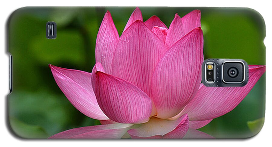 Nature Galaxy S5 Case featuring the photograph Lotus--Shades of Past and Future DL029 by Gerry Gantt