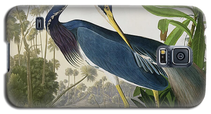 #faatoppicks Galaxy S5 Case featuring the painting Louisiana Heron by John James Audubon