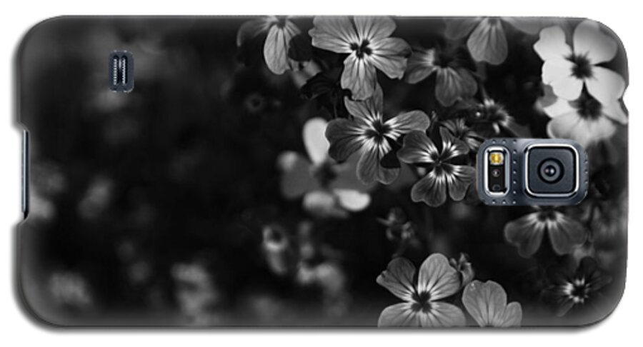 Uc Berkeley Botanical Garden Galaxy S5 Case featuring the photograph Love Lost by Laurie Search