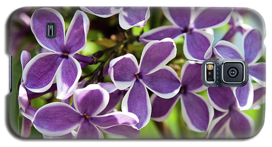 Purple Galaxy S5 Case featuring the photograph Lovely Lilacs by Joann Copeland-Paul