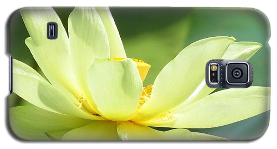 Lotus Galaxy S5 Case featuring the photograph Lovely Lotus by Lori Frisch