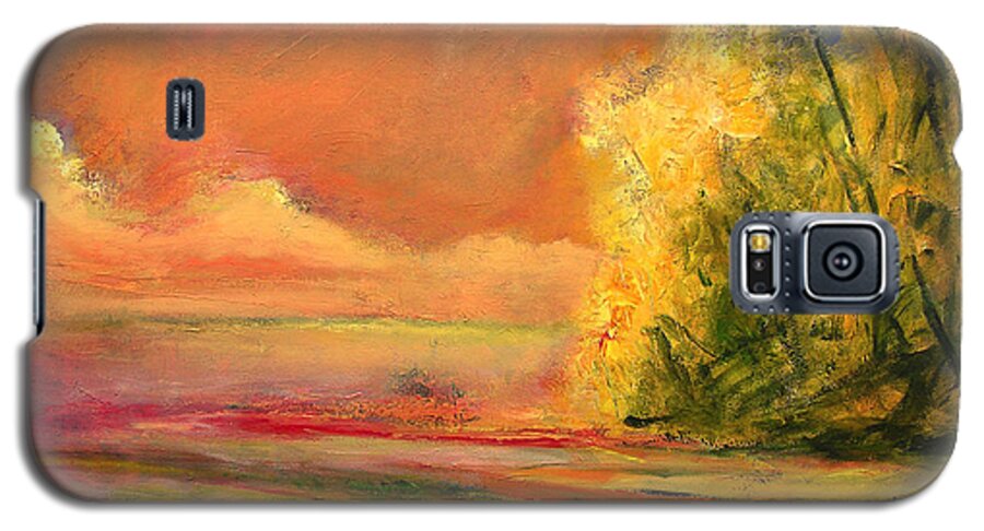 Large Canvas Reproductions Galaxy S5 Case featuring the painting Luminous Sunset 2-16-06 julianne felton by Julianne Felton