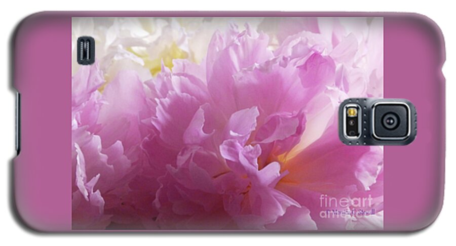 Flowers Galaxy S5 Case featuring the photograph M Shades of Pink Flowers Collection No. P72 by Monica C Stovall