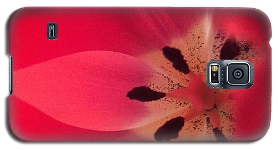 Macro Galaxy S5 Case featuring the photograph Macro Beauty Tulip by Marian Lonzetta