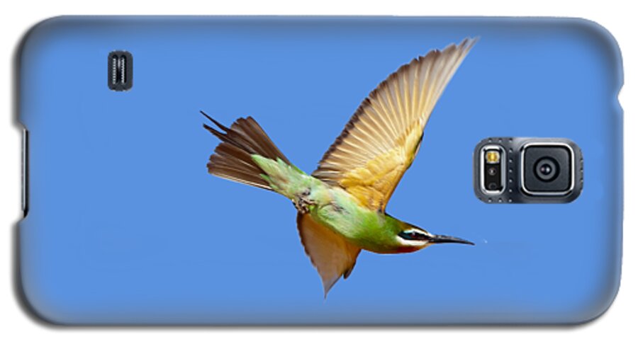Bee-eater Galaxy S5 Case featuring the photograph Madagascar Bee-eater T-shirt by Tony Mills