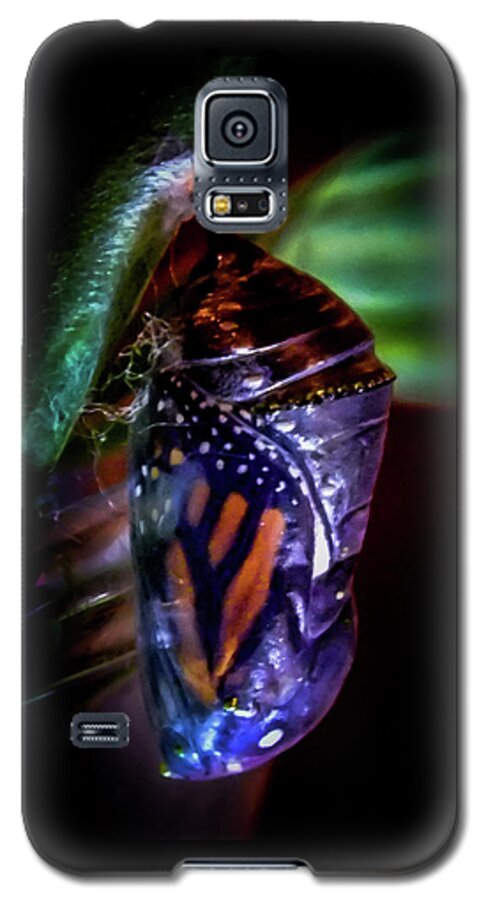Monarch Butterflies Galaxy S5 Case featuring the photograph Magical Monarch by Karen Wiles