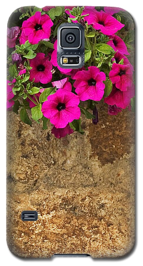 Mailbox Galaxy S5 Case featuring the photograph Mailbox with petunias by Silvia Ganora