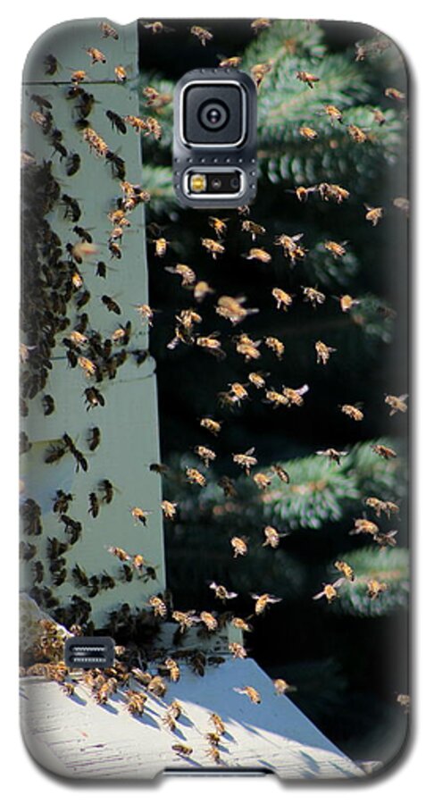 Honey Bee Galaxy S5 Case featuring the photograph Making Honey - Portrait by Colleen Cornelius