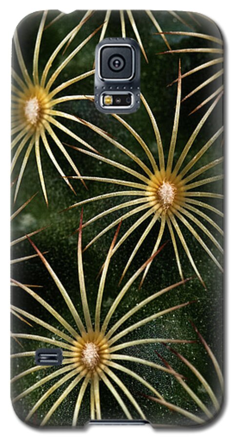 Cactus Galaxy S5 Case featuring the photograph mammillaria elongata Cactus by Catherine Lau