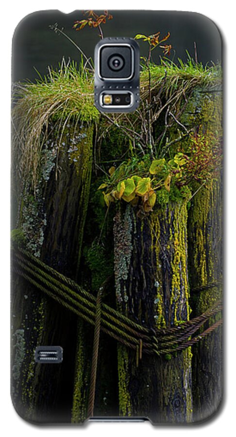 Ferns Galaxy S5 Case featuring the photograph Man Made Island-Signed-#2127 by J L Woody Wooden