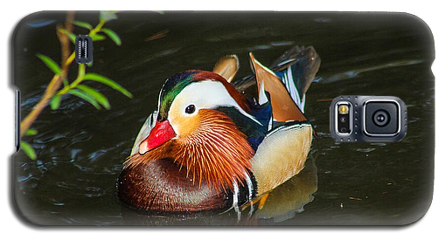 Duck Galaxy S5 Case featuring the photograph Mandarin 3 by Robert Hebert