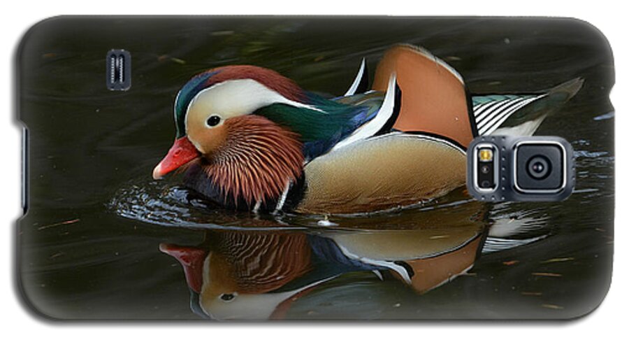 Mandarin Duck Galaxy S5 Case featuring the photograph Mandarin Reflection by Fraida Gutovich