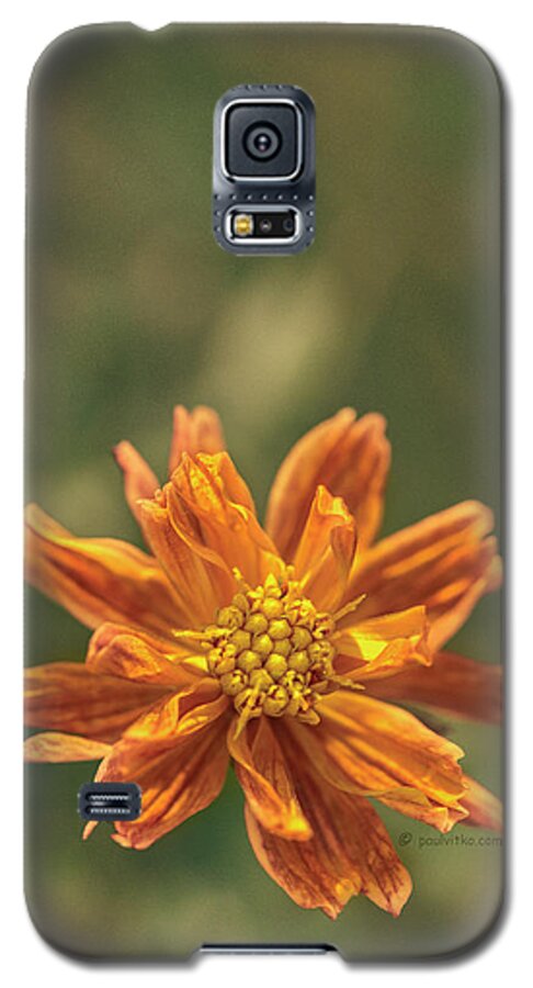  Galaxy S5 Case featuring the photograph Manifesting Sundot..... by Paul Vitko