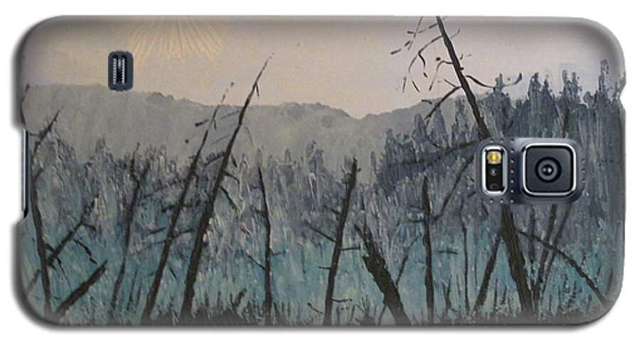 Northern Ontario Galaxy S5 Case featuring the painting Manitoulin Beaver Meadow by Ian MacDonald