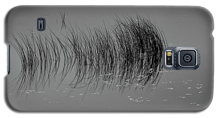 Outdoor Galaxy S5 Case featuring the photograph Marsh Reflection by Albert Seger