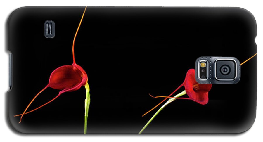 Masd Cheryl Shohan Galaxy S5 Case featuring the photograph Masd Cheryl Shohan by Catherine Lau