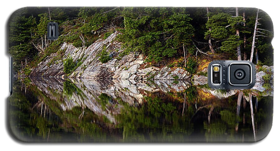 Massasauga Galaxy S5 Case featuring the photograph Massasauga Park Reflection by Steve Somerville