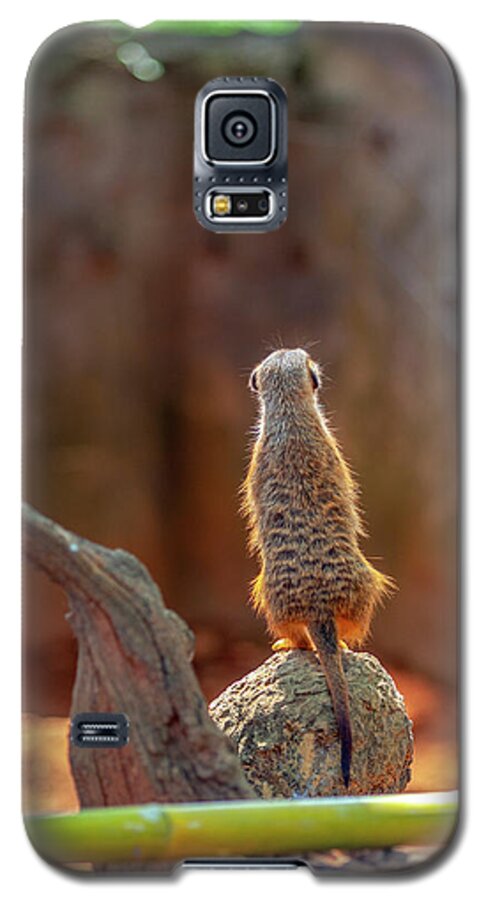 Meerkat Galaxy S5 Case featuring the photograph Meerkat 2 by Al Hurley