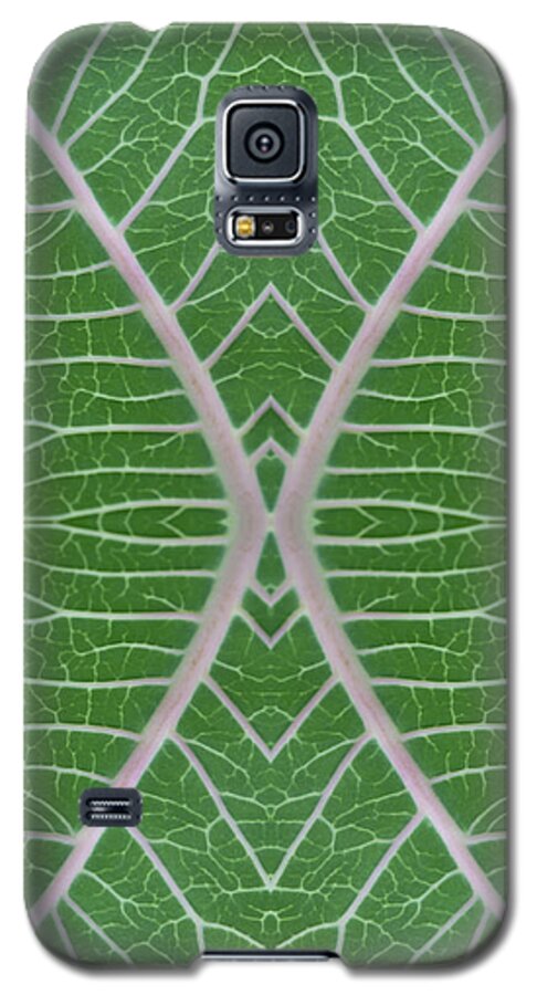 Photographic Art Galaxy S5 Case featuring the photograph Milkweed Veins Quad by Paul Rebmann