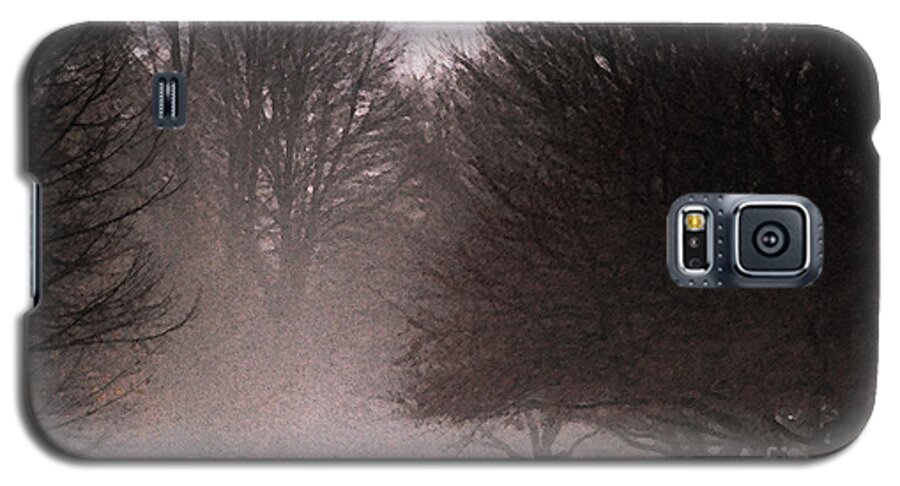 Tree Galaxy S5 Case featuring the photograph Misty by Linda Shafer