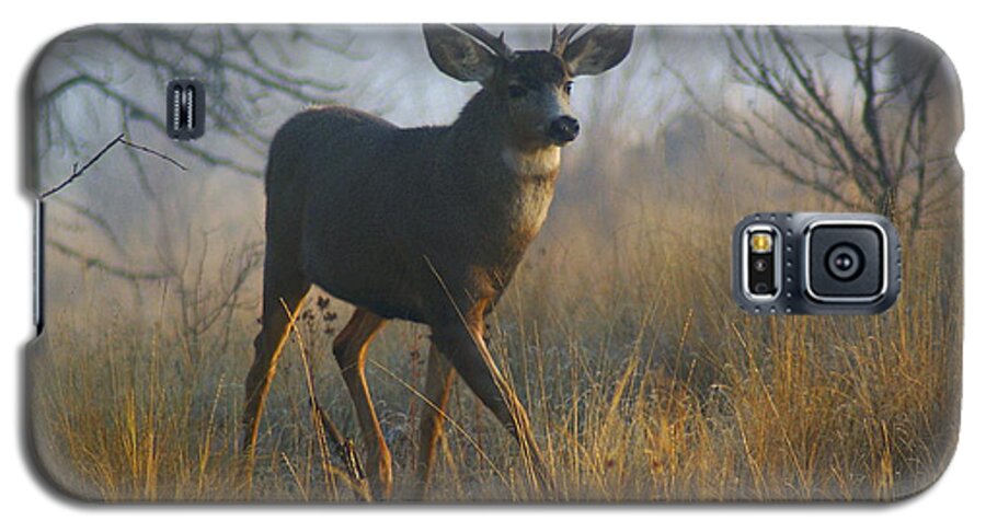 Deer Galaxy S5 Case featuring the photograph Misty Morning Buck by Ben Upham III