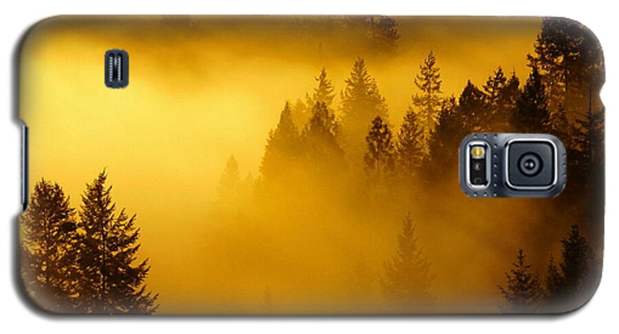 Nature Galaxy S5 Case featuring the photograph Misty Morning Sunrise by Ben Upham III