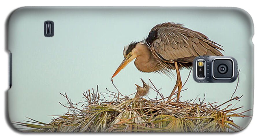 Blue Heron Galaxy S5 Case featuring the photograph Mom and Chick by Dorothy Cunningham